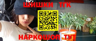 соль ск Партизанск