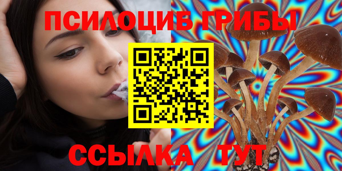 Галлюциногенные грибы мицелий  Вход с VPN  Уссурийск 